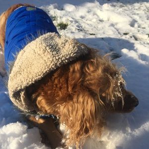 Meet your Posher, Steven